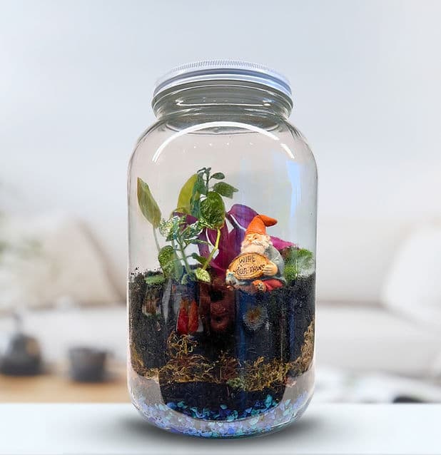 A miniature terrarium landscape planted inside a large glass jar