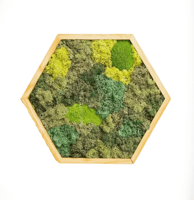 Dimensional wall artwork composed with green moss and natural textures