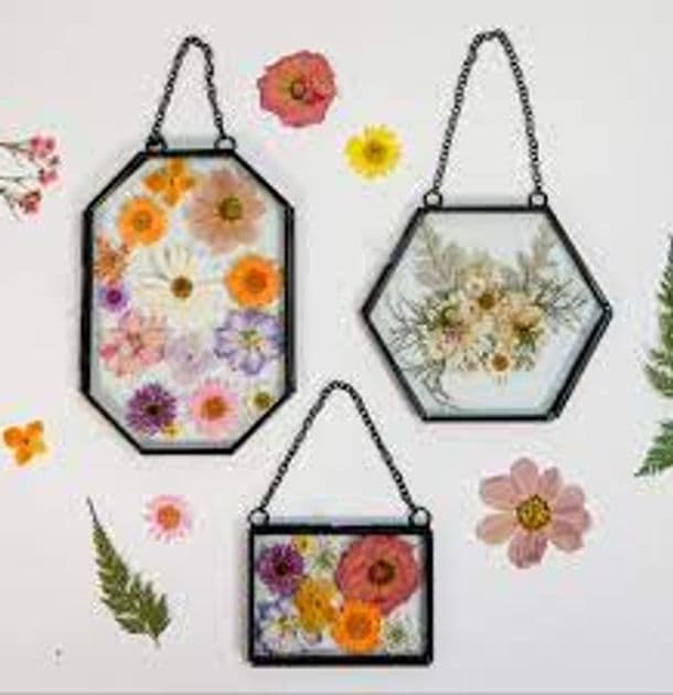 Pressed flowers arranged into delicate botanical artwork