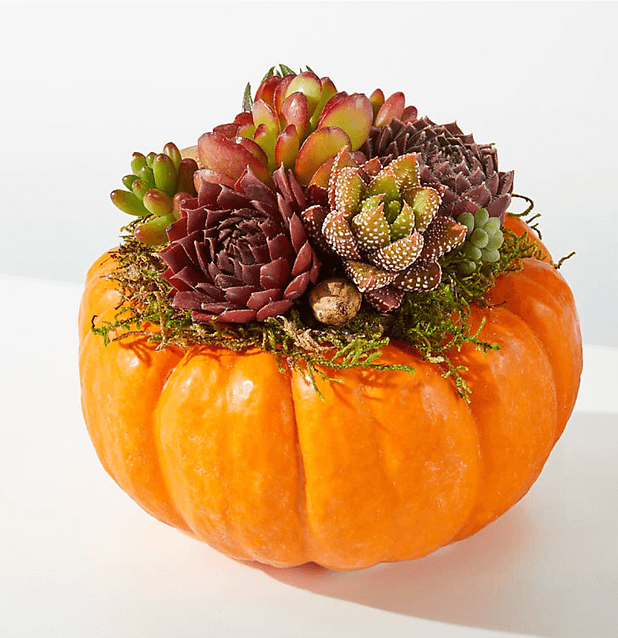 Pumpkin centerpiece decorated with seasonal flowers and foliage